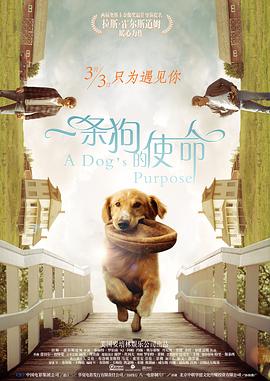 秋霞影院一区